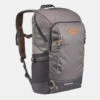 Quechua Wandelrugzak NH500 20 L